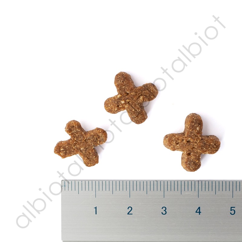 ブラックウッド インドアキャット キャットフード