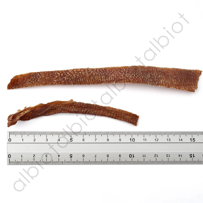 DELI デリ 牛たん皮 細切り 30g