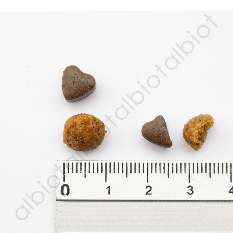 FORZA10 フォルツァディエチ アクティブライン リナールアクティブ 腎臓ケア ドッグフード