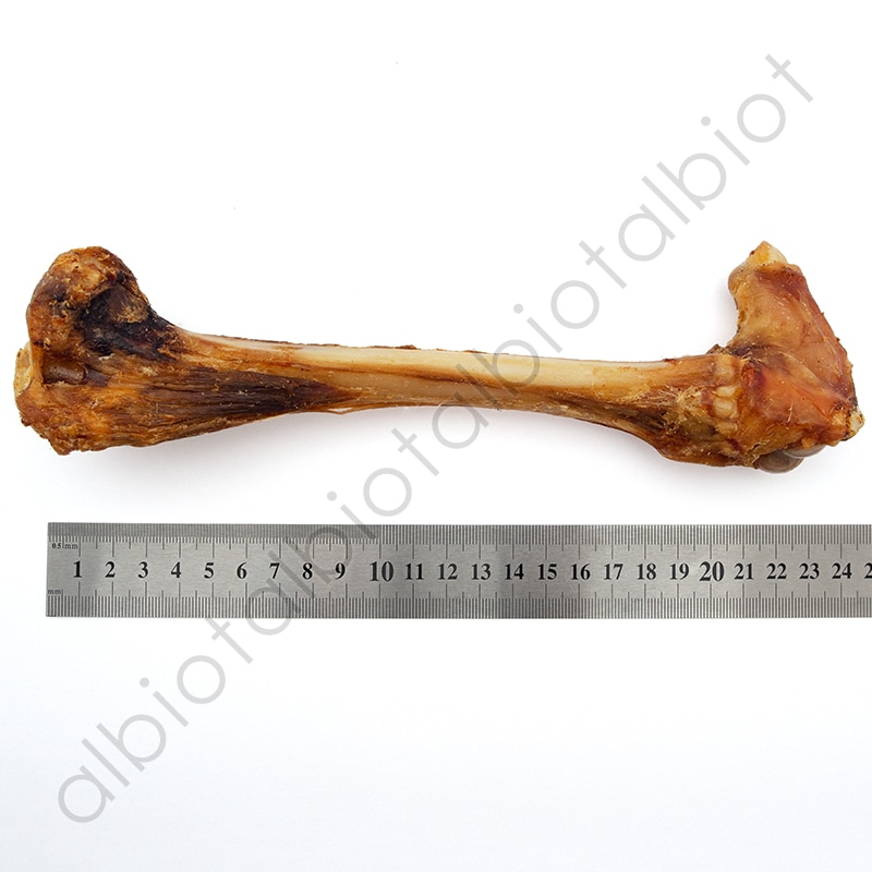 DELI デリ 仔羊の骨 1本