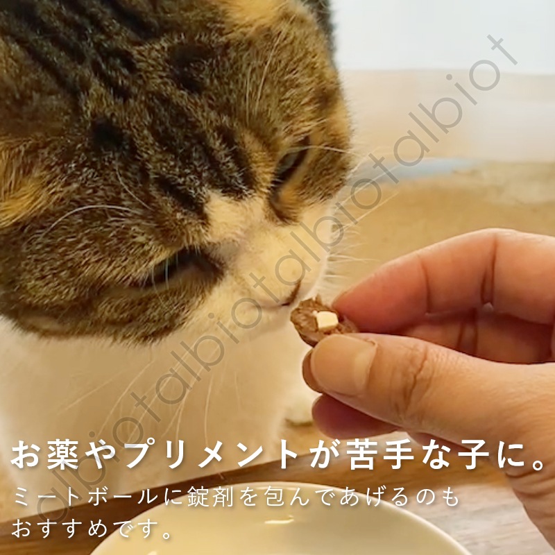 Funfun ジビエ 鹿肉ミートボール 60g