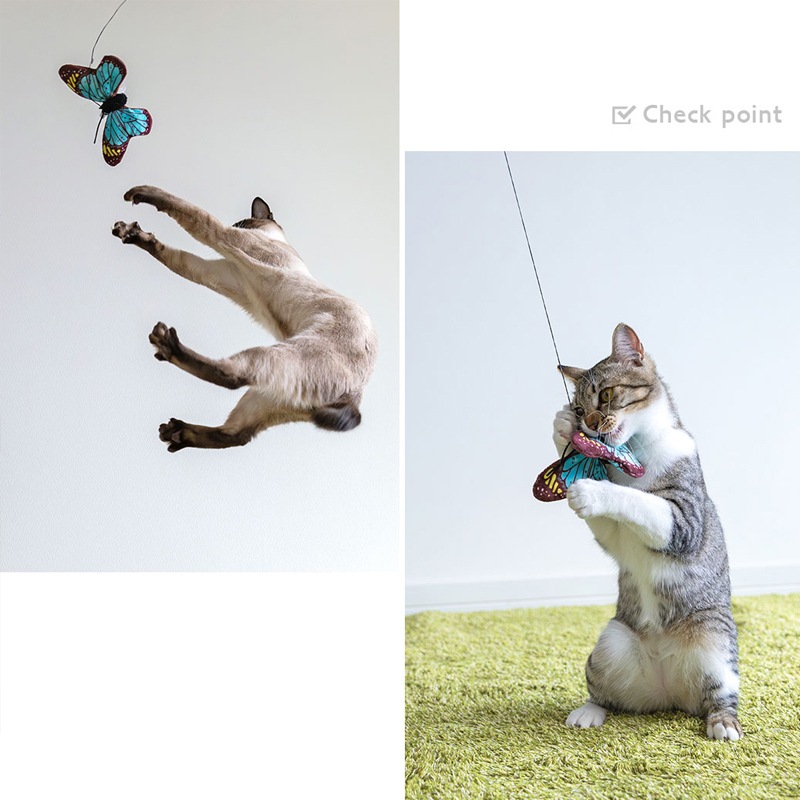 【猫のおもちゃ】iCat ちょうちょ カシャカシャとキャットニップ入り【 ねこじゃらし 】