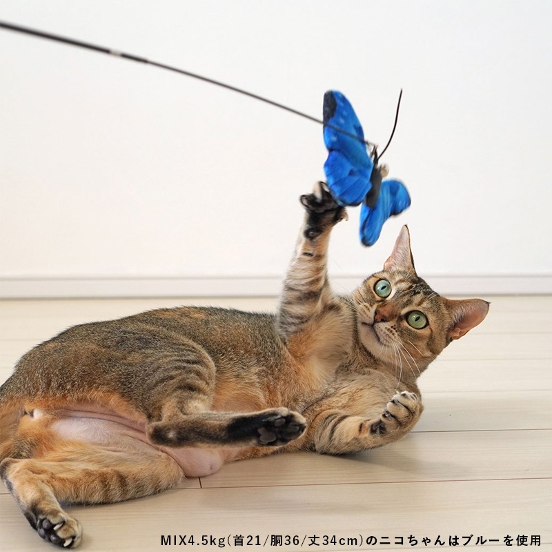【猫のおもちゃ】iCat ちょうちょ カシャカシャとキャットニップ入り【 ねこじゃらし 】