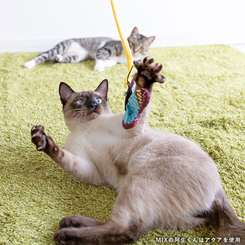 【猫のおもちゃ】iCat ちょうちょ カシャカシャとキャットニップ入り【 ねこじゃらし 】