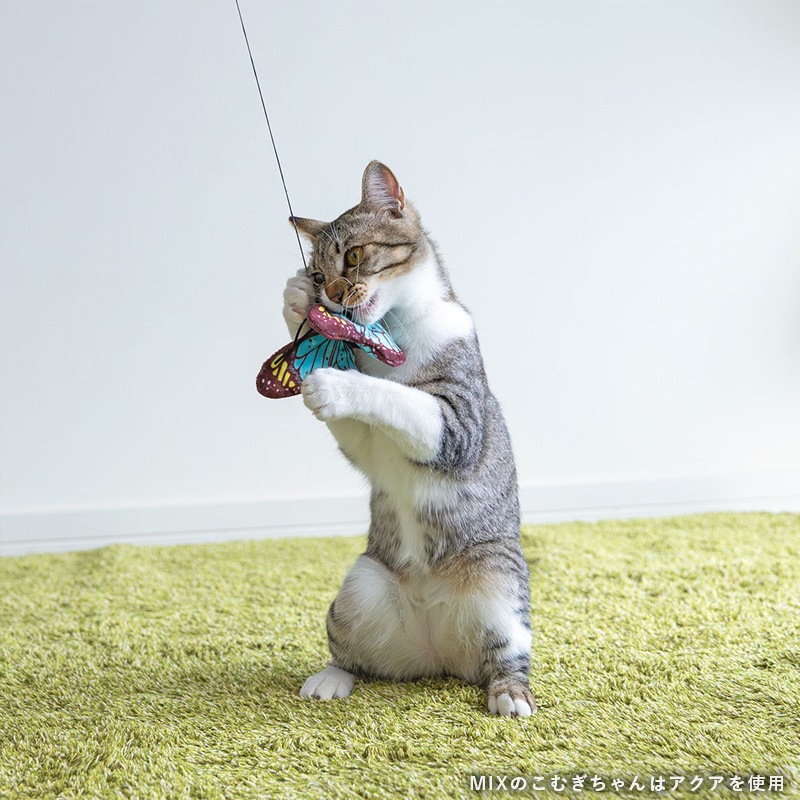 【猫のおもちゃ】iCat ちょうちょ カシャカシャとキャットニップ入り【 ねこじゃらし 】