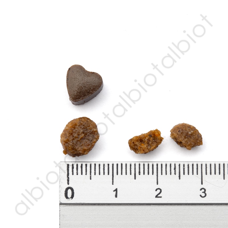 FORZA10 フォルツァディエチ アクティブライン リナールアクティブ 腎臓ケア 400g キャットフード