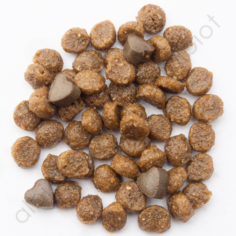 FORZA10 フォルツァディエチ アクティブライン リナールアクティブ 腎臓ケア 400g キャットフード