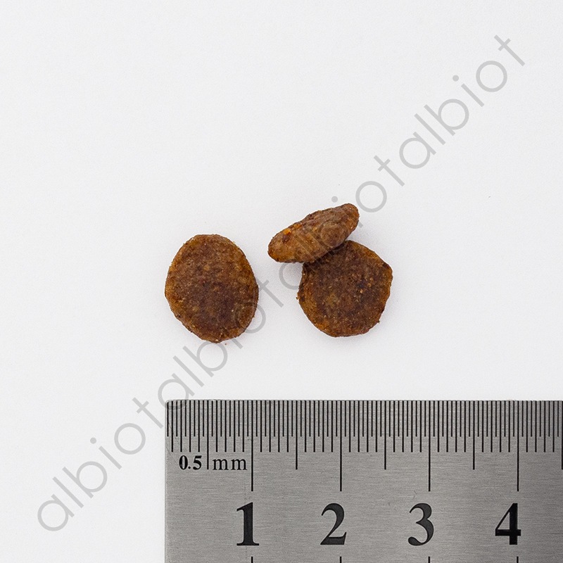 Brit ケア キャット グレインフリー インドア 400g