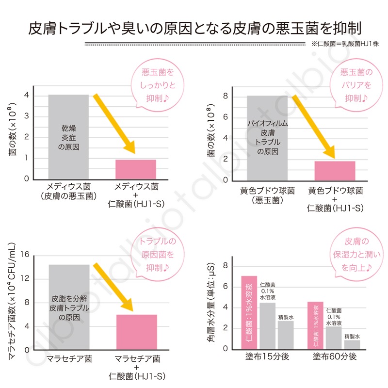 エイチジン バイオフローラ 動物用 60ml 塗る乳酸菌 アニマルスキンジェル