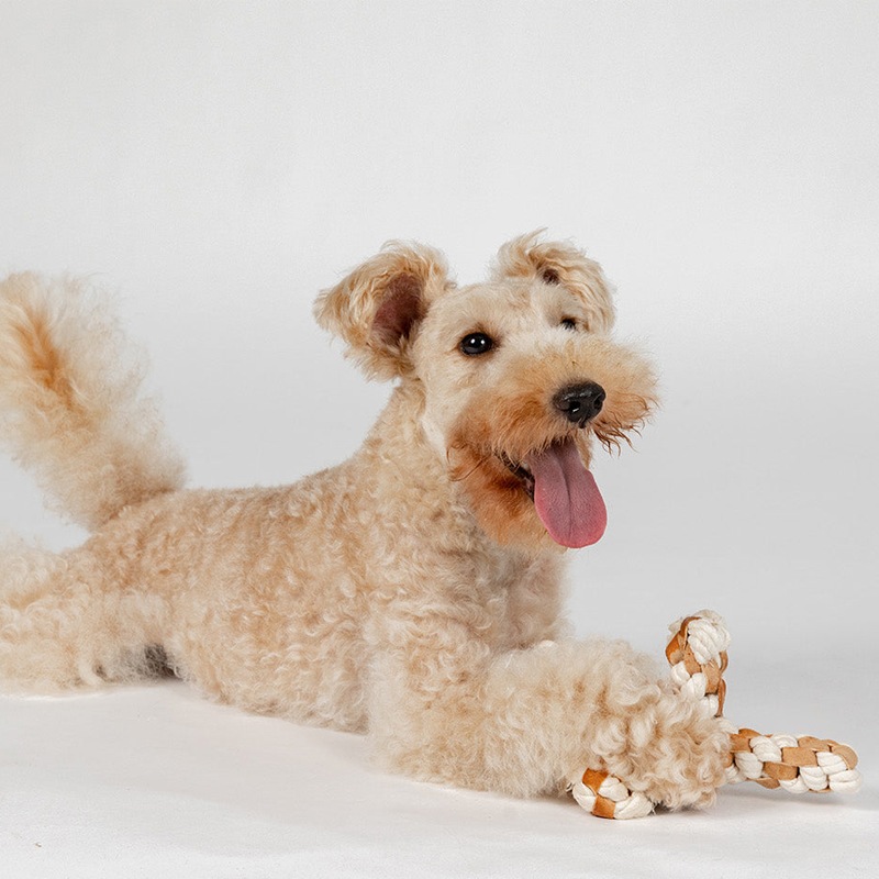 FAD レザー＆コットン・トイ ブランチ (PTFA06001)