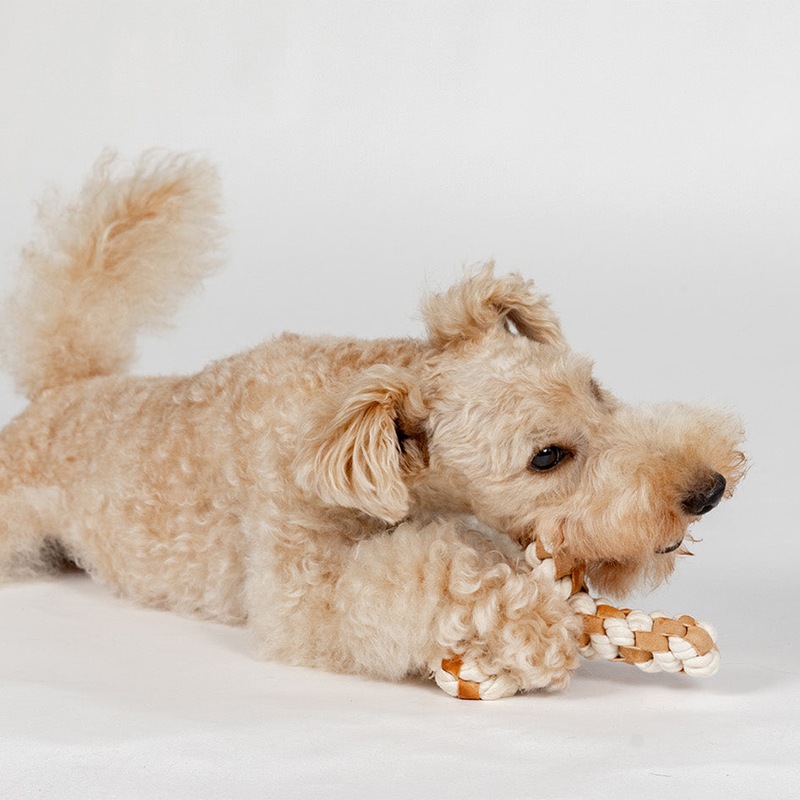 FAD レザー＆コットン・トイ ブランチ (PTFA06001)