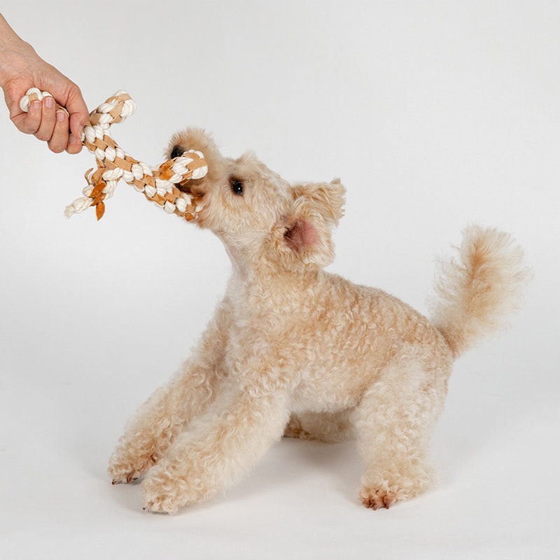 FAD レザー＆コットン・トイ ブランチ (PTFA06001)