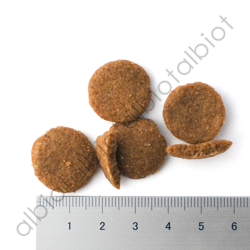 ハッピードッグ サノN（腎臓ケア）1kg