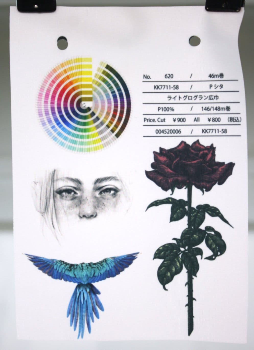 No.620　ライトグログラン(KKF7711-58)　