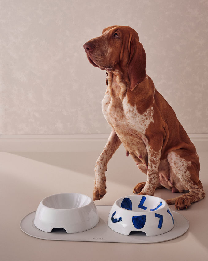 Itsumo Pet Yunoki Ware ドッグウォーターボウル（大）【NF15L 1