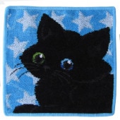 フェイラー FEILER ハンカチ ハンドタオル 25cm レディース