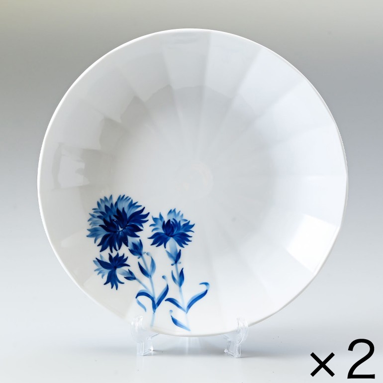 2個セット ロイヤルコペンハーゲン ブロムスト カーネーション プレート 24cm 1025323（2902606） 北欧食器 洋食器 ROYAL COPENHAGEN【スペシャルラッピング660円(別売り)】