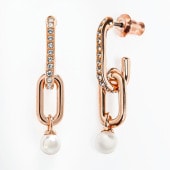 新品 未使用品 箱入り スワロフスキー 2way ピアス ダズリング スワン スワロフスキー SWAROVSKI ピアス レディース ダズリング スワン