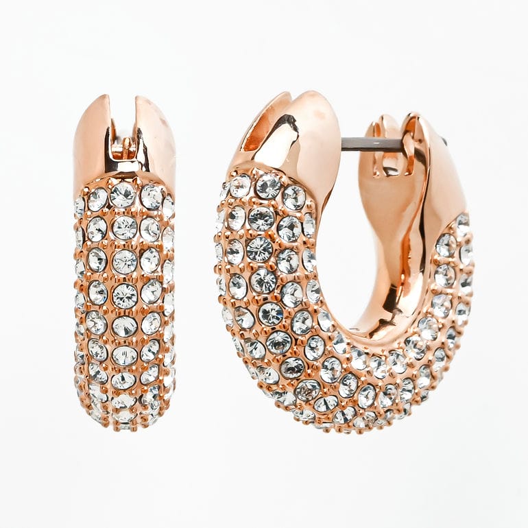 スワロフスキー SWAROVSKI ピアス Dextera スモール フープピアス