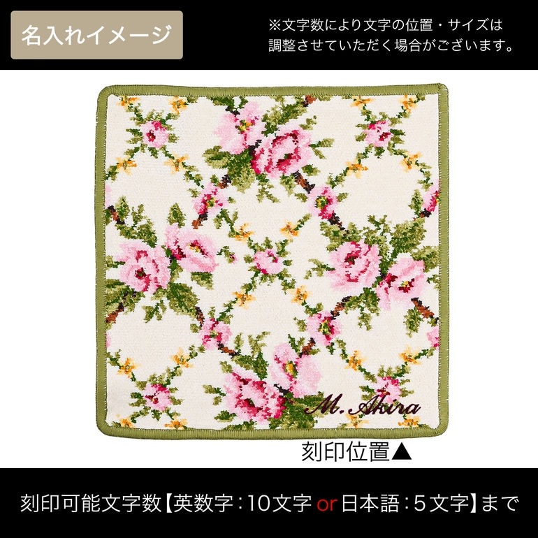 フェイラー FEILER ハンカチ ハンドタオル 25cm レディース AMELIE