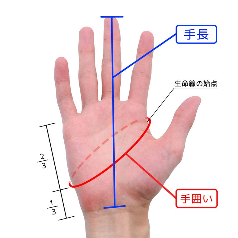 ポロ ラルフローレン POLO RALPH LAUREN 手袋 グローブ 全5カラー PC0494 スマートフォン対応 レザーパッチ 男女兼用