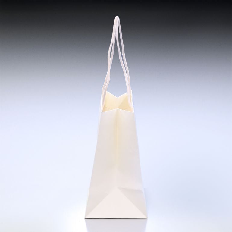 【袋のみの購入不可】 SWAROVSKI スワロフスキー Lサイズ ショッパー 純正ペーパーバッグ