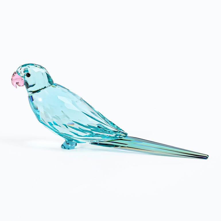 スワロフスキー置物　コンゴウインコ ブルー SWAROVSKI（スワロフスキー） クリスタルフィギュア All you Need are