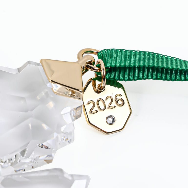スワロフスキー SWAROVSKI オーナメント 2026限定 Annual Edition スノーフレーク クリスマスオーナメント クリア 5718051 インテリア オブジェ 置物<br>【スペシャルラッピング660円(別売り)】