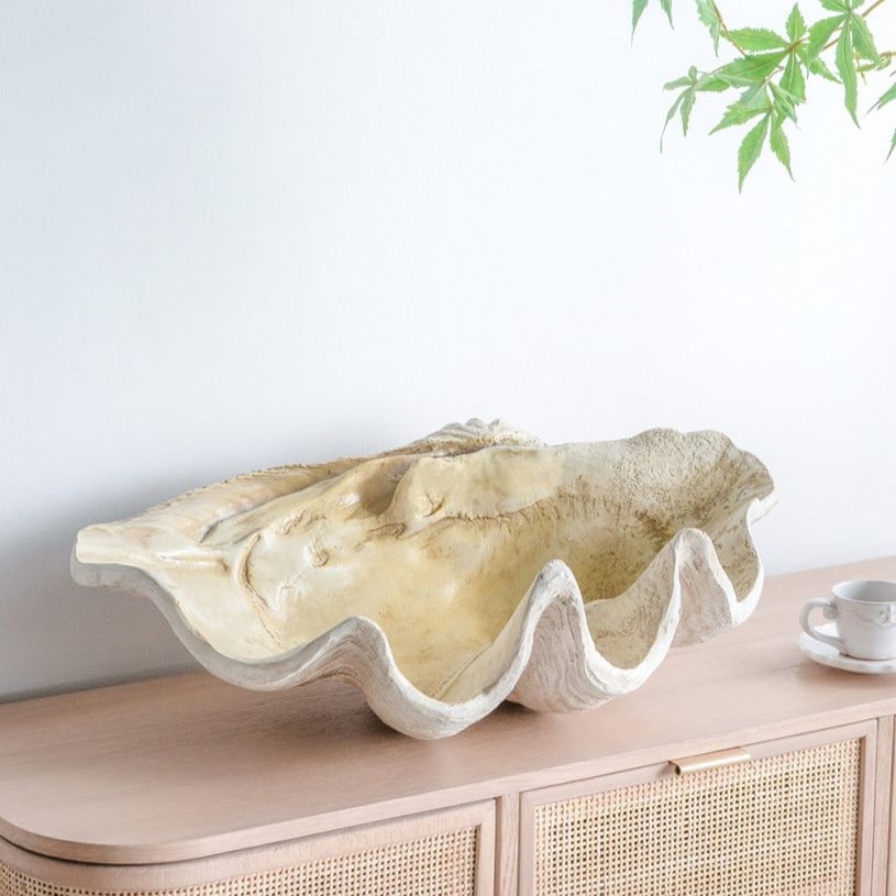 シェルトレイ 幅64cm レジン製 貝殻型ディスプレイトレイ オブジェ