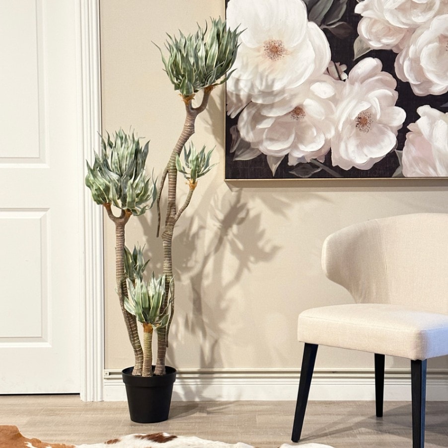 観葉植物 高さ157cm