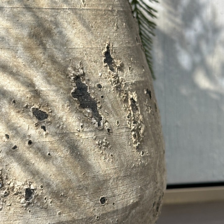 グレー 波形花器 DULTON ONLINE SHOP | COLOR GLAZED POT CLAY(3.5号 CLAY): ガーデン