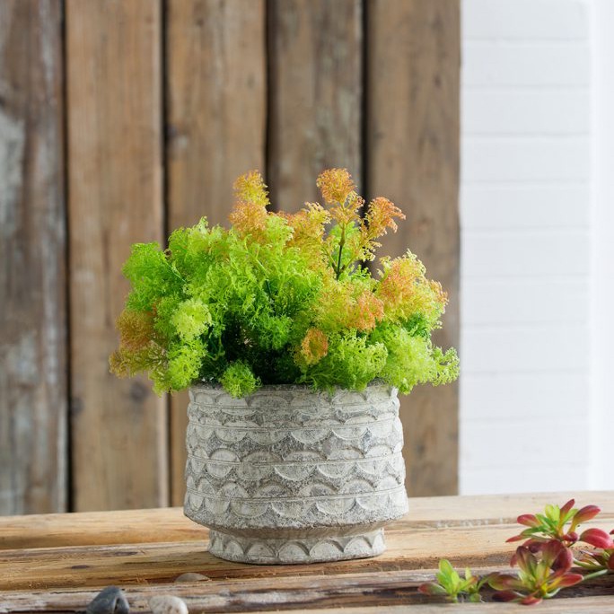 新品・未使用】清流 傘立 へちもん 信楽焼 インテリア 鉢カバー 壺