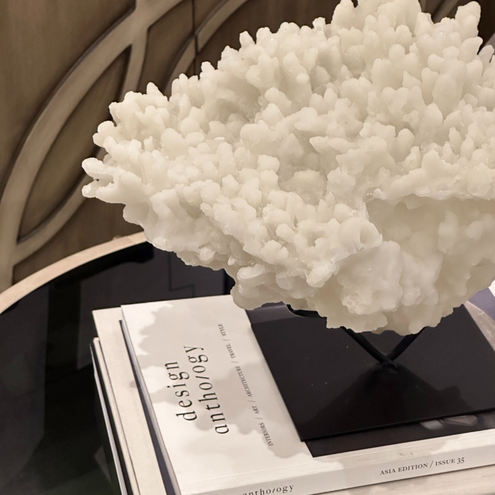 ホワイトサンゴのディスプレイオブジェ Amazon.co.jp: 24 A サンゴ 珊瑚 置物 飾りサンゴ 飾り 欠片