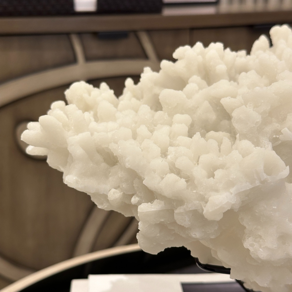 サンゴ オブジェ ホワイト | インテリアデコレーション |インテリア