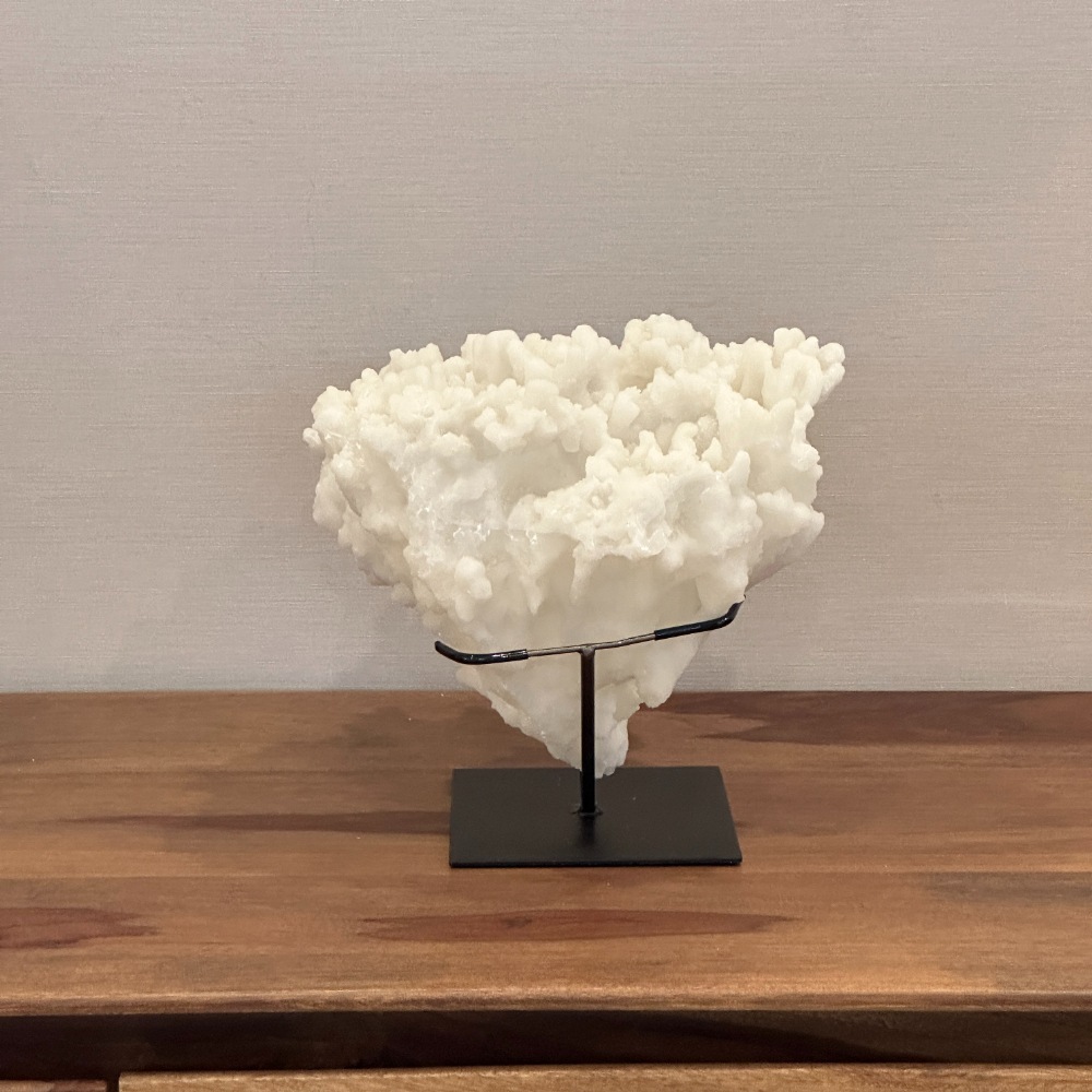 サンゴ オブジェ ホワイト | インテリアデコレーション,オブジェ・置物