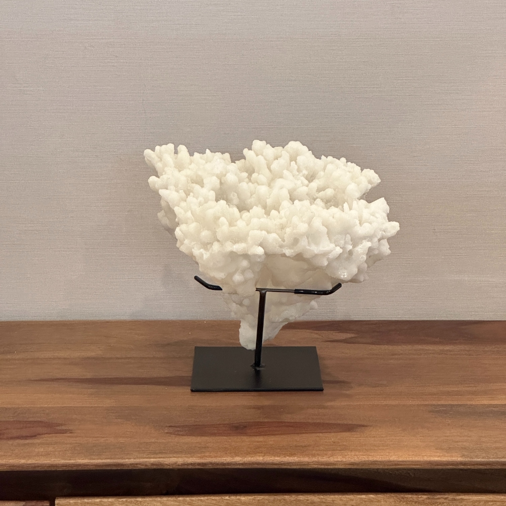 ホワイトサンゴのディスプレイオブジェ Amazon.co.jp: 24 A サンゴ 珊瑚 置物 飾りサンゴ 飾り 欠片