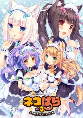 �ͥ��Ѥ� vol.3 �ͥ������Υ����ޥƥ��� �̾���