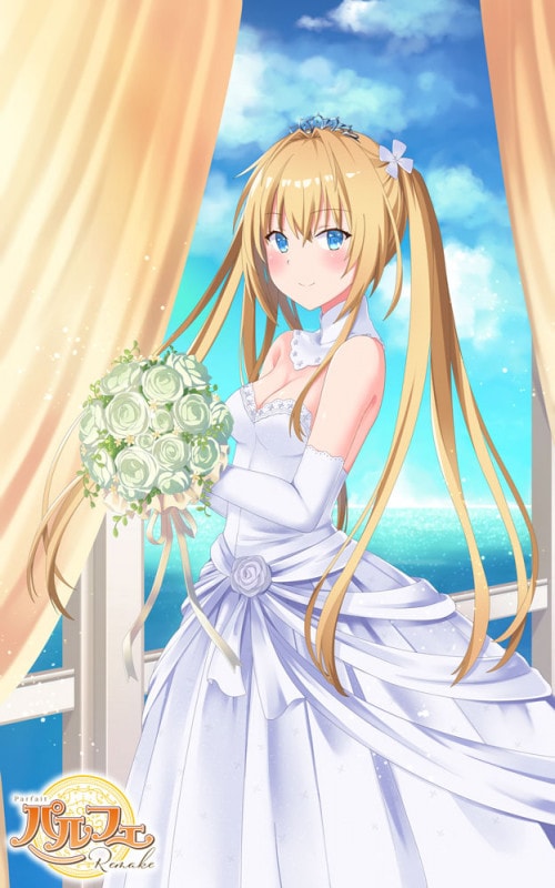 �ѥ�ե���ᥤ�� Standard Edition ��������������