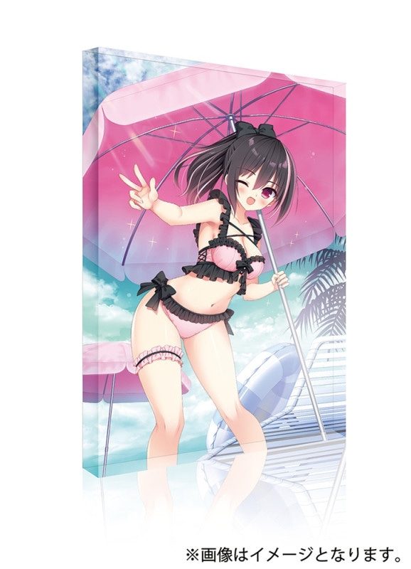 �ڥ�����륪���ʥ��ȡ� �����Х����� B6������륪���ʥ��� ����Ѥβ���������