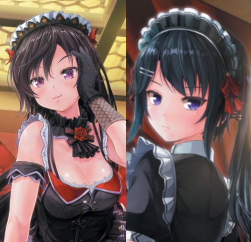 カスタムオーダーメイド3D2&2.5 キャラクターパック M心を刺激する、ドS女王様&警戒心の強い無愛想セット
