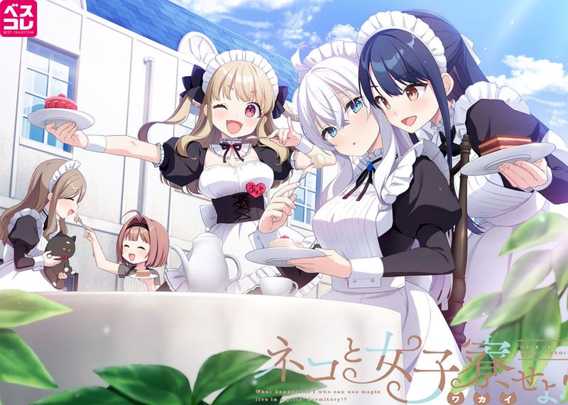 �ͥ��Ƚ��������衪 �����