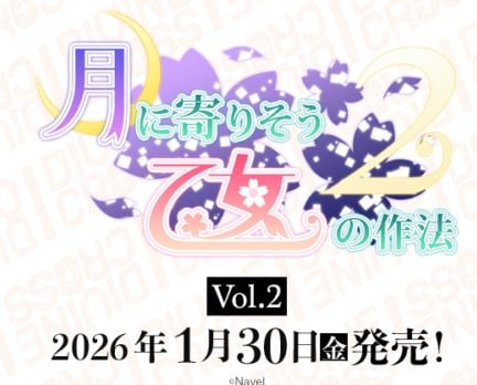 �ڥ��å��� DIVINE CROSS����˴�ꤽ�������κ�ˡ2 Vol.2 �֡��������ѥå�(1BOX)