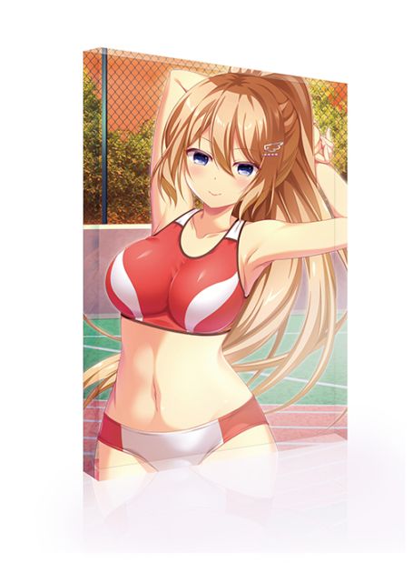 �ڥ�������Steam��E��������饤��ȯ�䵭ǰ B6������륪���ʥ��� ���� 轲»�