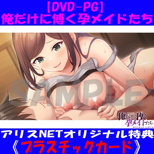 ��DVD-PG�� �������������ԥᥤ�ɤ��� DVD Players Game [�ƥ쥫���������ꥸ�ʥ�ץ饫������] ��2026ǯ3��26�����Ϥ�ʬ��