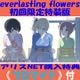 everlasting flowers ������������ �ڥ��ꥹNET������ŵ���ꥸ�ʥ�֥��ޥ����ա�