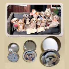 ���Ǥ������ݡ��ȥ��å� C