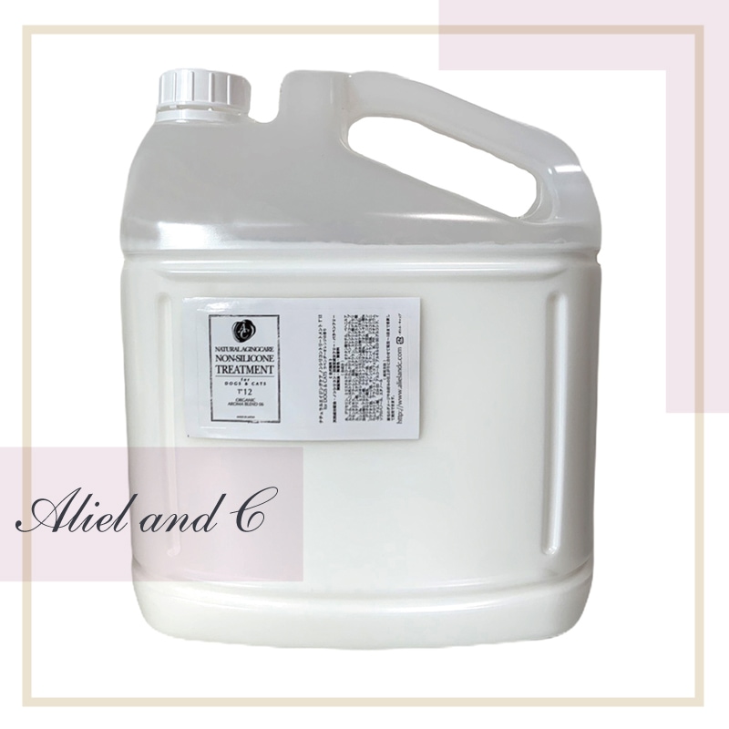 ナチュラルエイジングケア ノンシリコントリートメント T12/3800ml (全