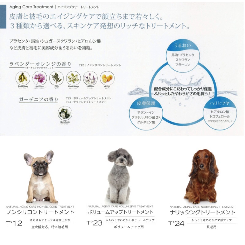 ڥåѡʥå󥰥ȥ꡼ȥT24ʤäȤĥĥ/200ml