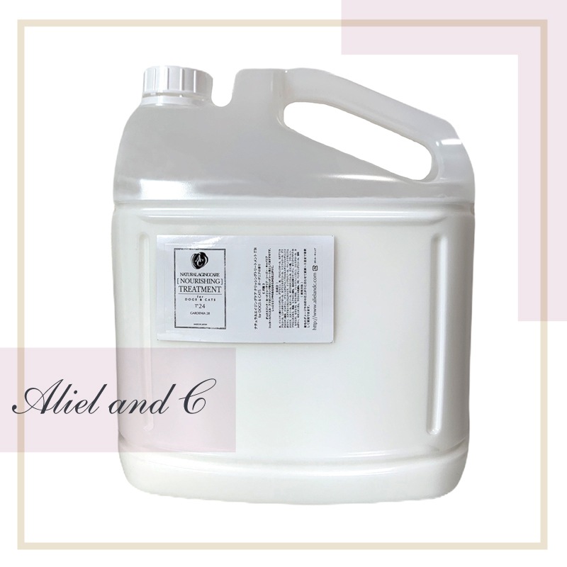 ڥåѡʥå󥰥ȥ꡼ȥT24ʤäȤĤĤ/̳ѡ3800ml