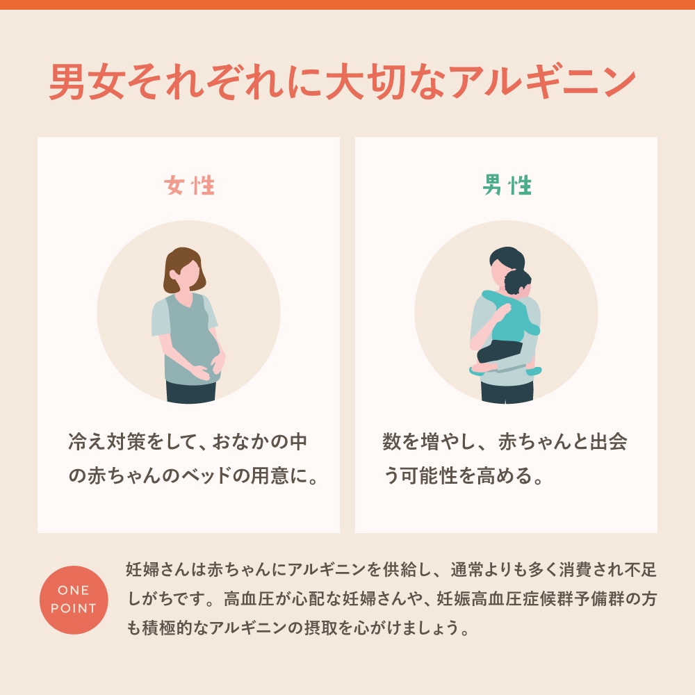 【産婦人科医開発】エンゼルストークベーシックメンズパッケージ 30包（1カ月）※妊活スタート アルギニン 葉酸 安全臨床試験済 送料無料 今なら400ポイント（400円分）進呈